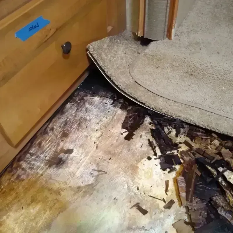 Best Wood Floor Water Damage Service in Rushville, IL